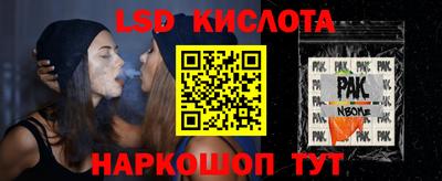шишки Кингисепп