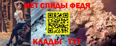 шишки Кингисепп